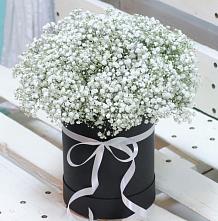 Цветочная композиция из Гипсофила в шляпной коробке #REPLACE_PRED# Совхозном Свердловская область